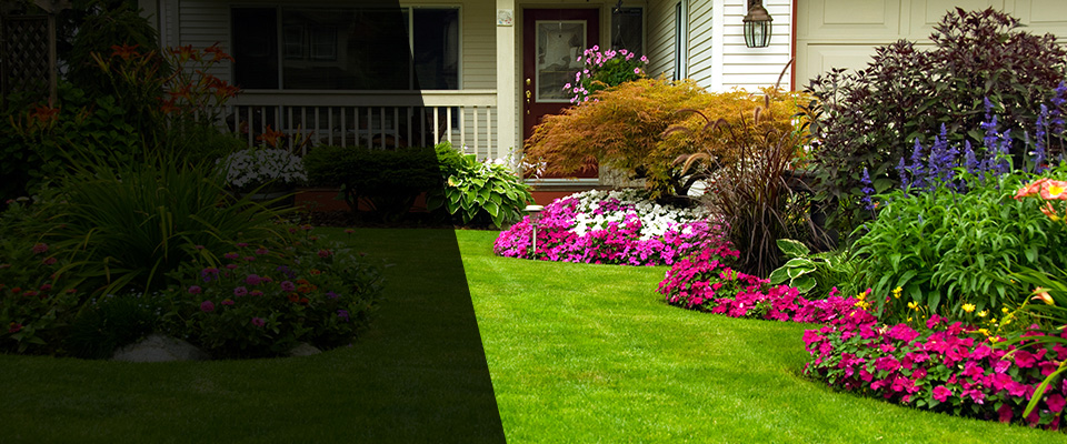 Nitro Landscapers